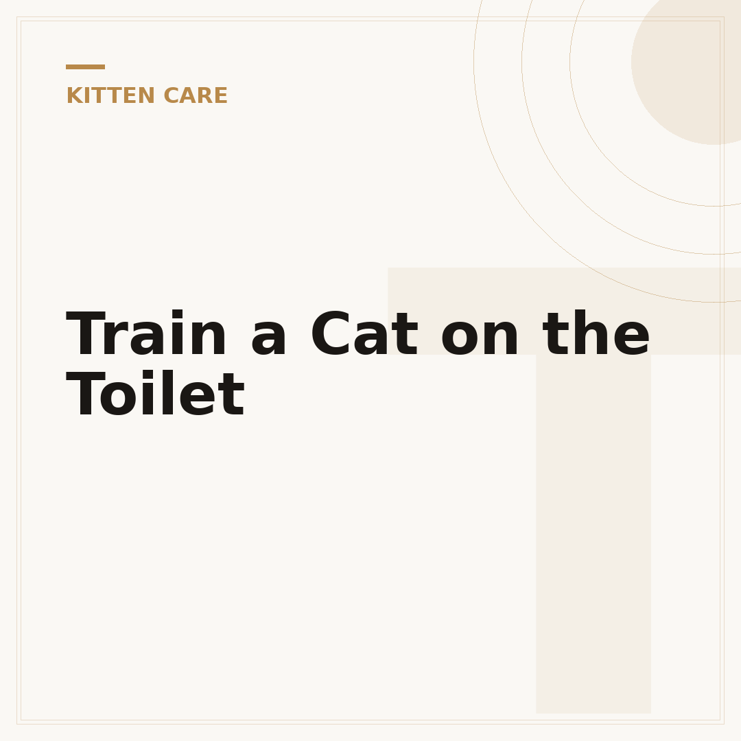 Train a Cat on the Toilet