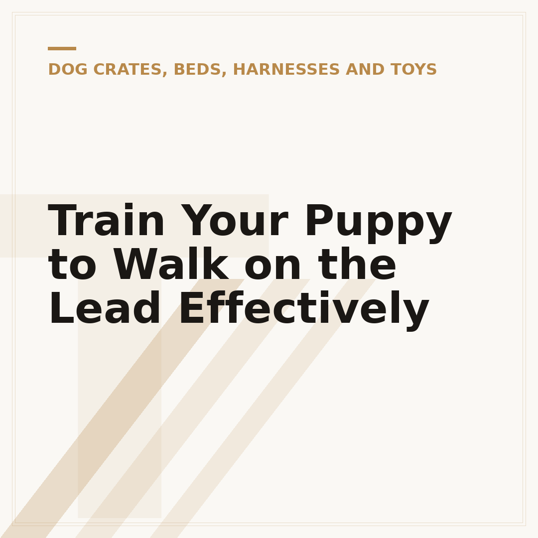 Train Your Puppy to Walk on the Lead Effectively