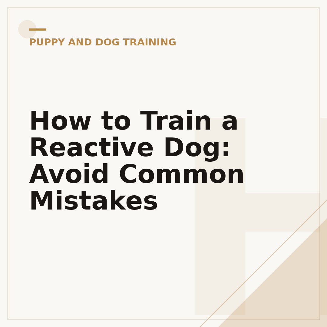 How to Train a Reactive Dog: Avoid Common Mistakes