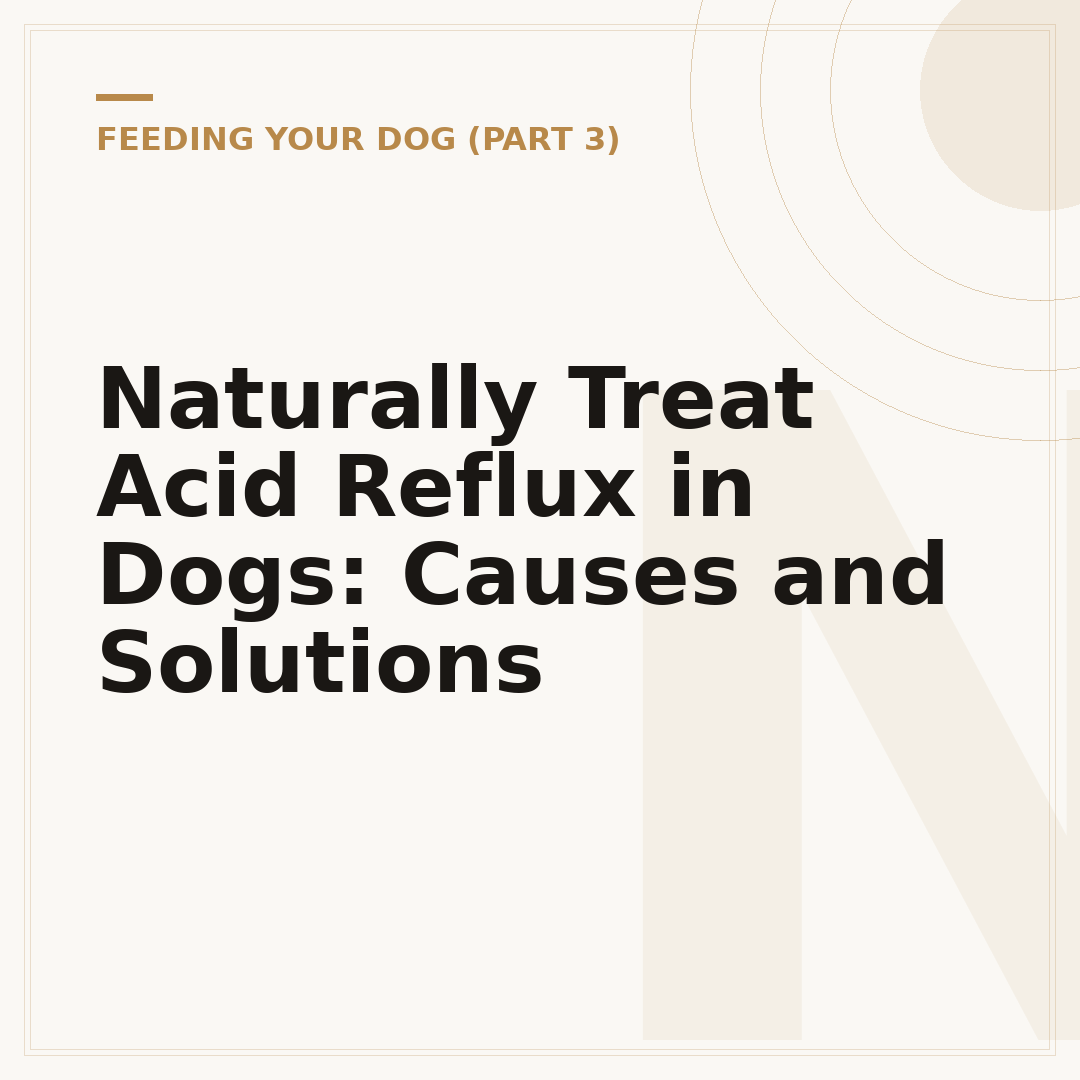 Naturally Treat Acid Reflux in Dogs: Causes and Solutions