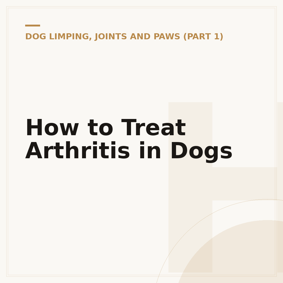How to Treat Arthritis in Dogs