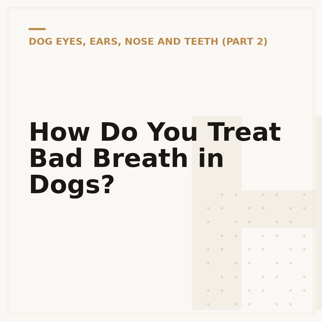 How Do You Treat Bad Breath in Dogs?