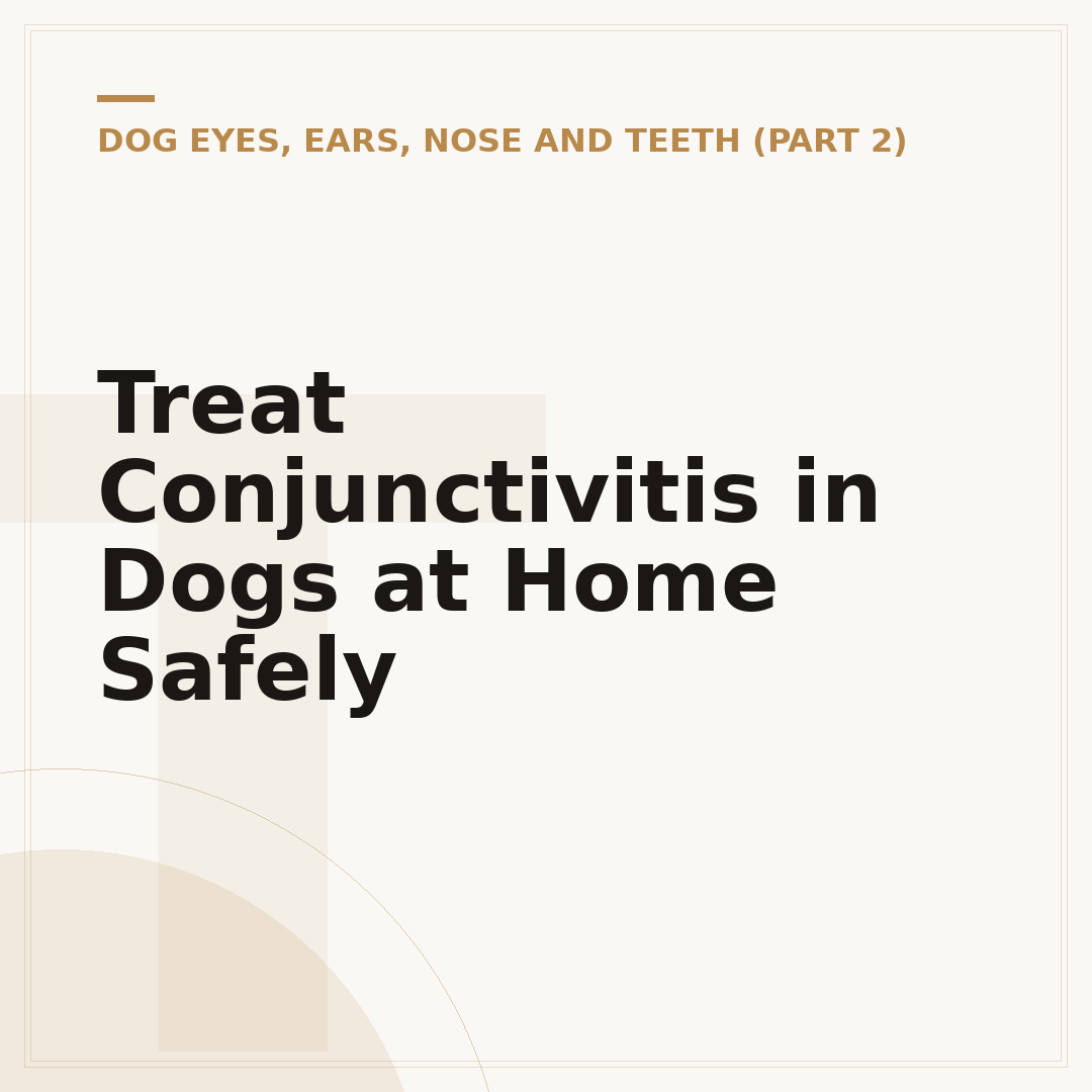 Treat Conjunctivitis in Dogs at Home Safely