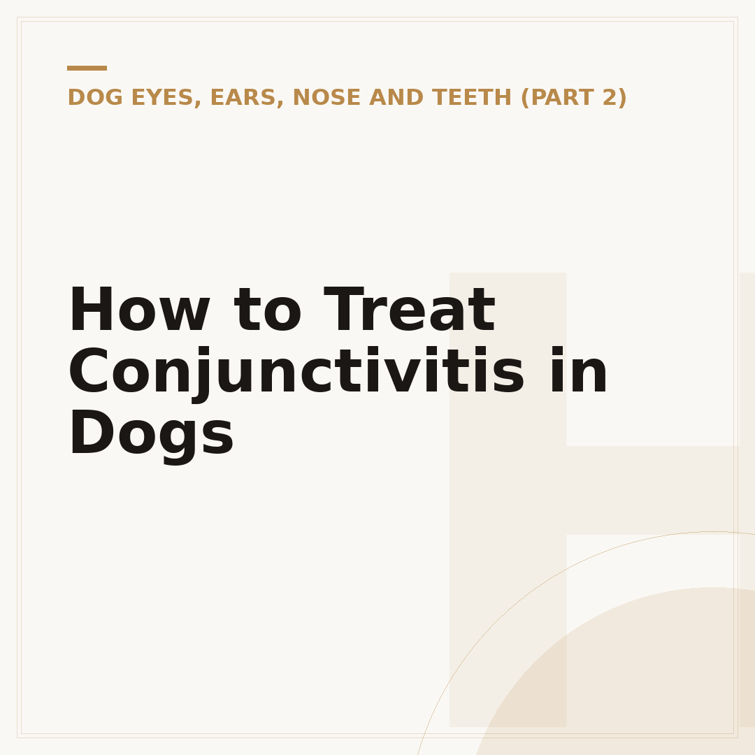 How to Treat Conjunctivitis in Dogs