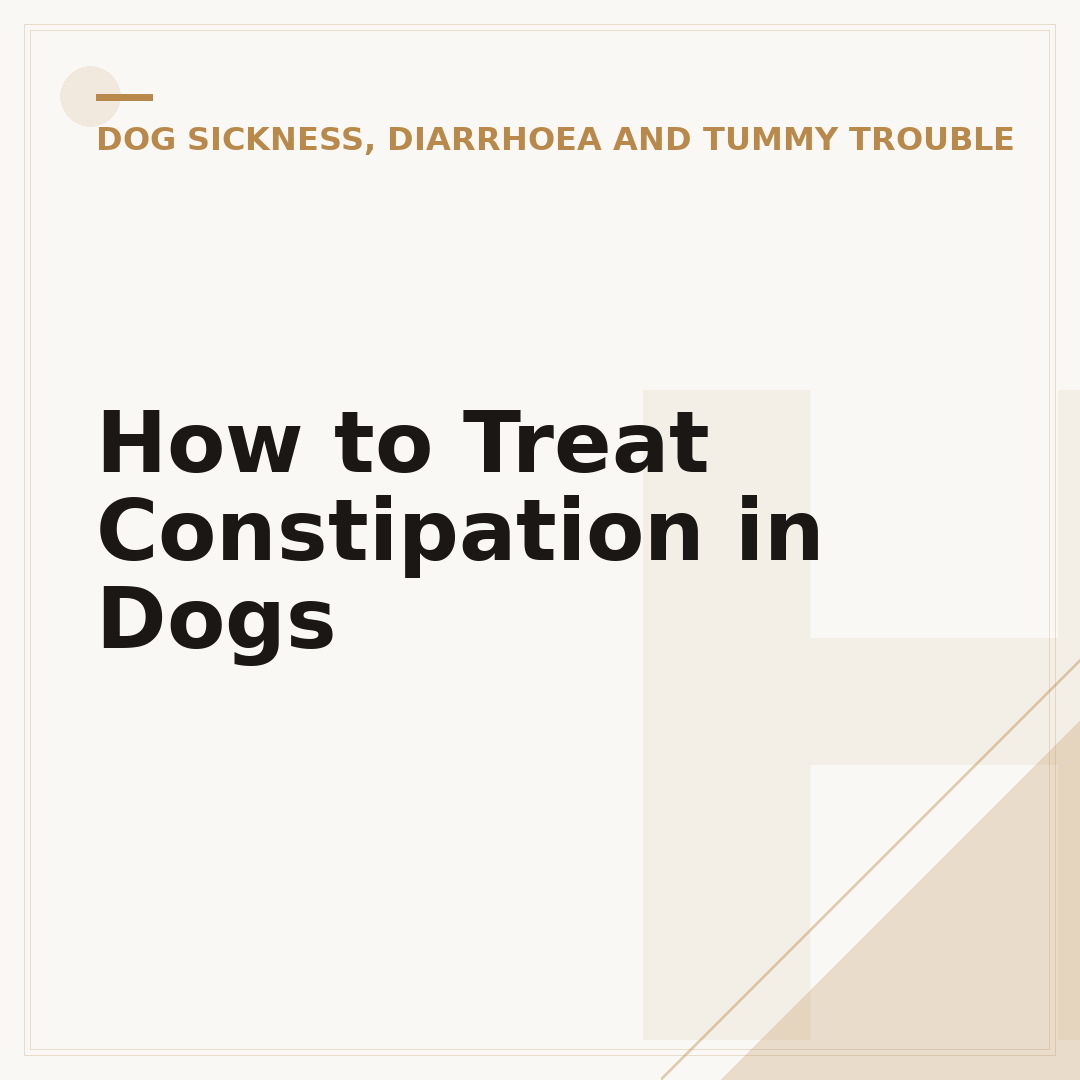 How to Treat Constipation in Dogs