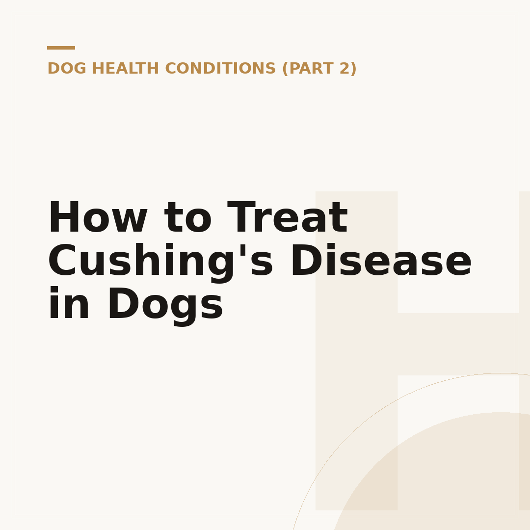 How to Treat Cushing's Disease in Dogs