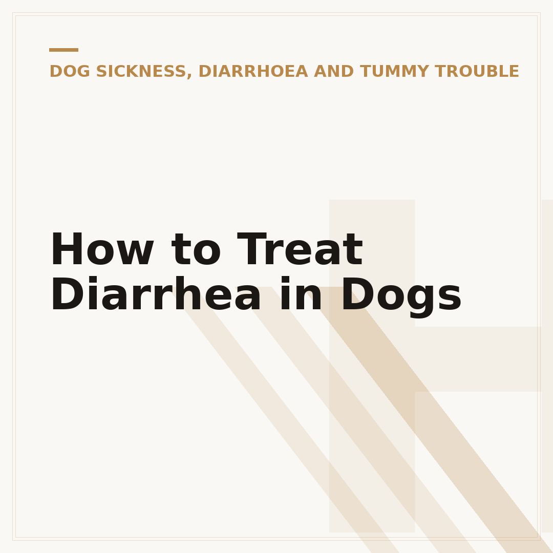 How to Treat Diarrhea in Dogs