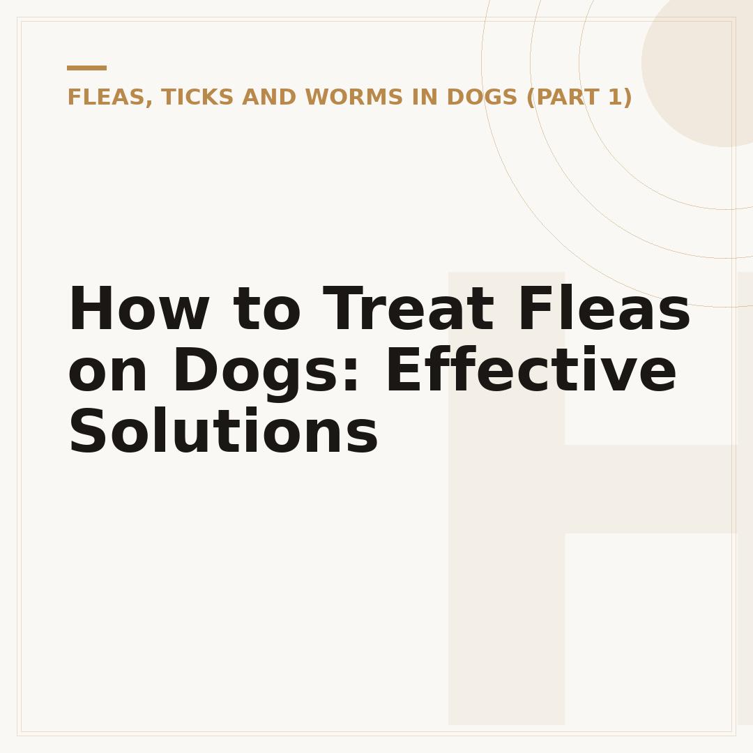 How to Treat Fleas on Dogs: Effective Solutions