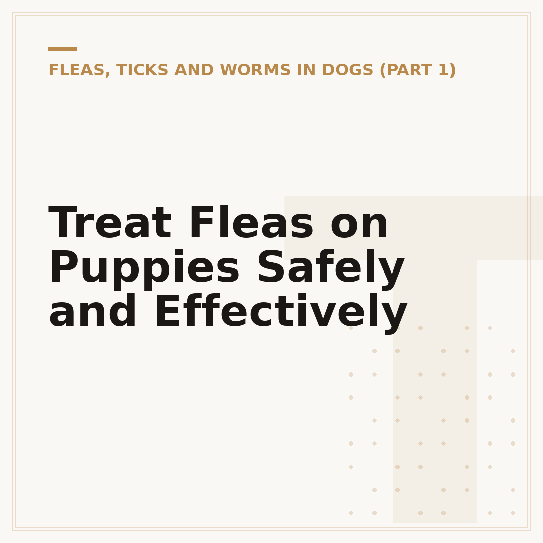 Treat Fleas on Puppies Safely and Effectively