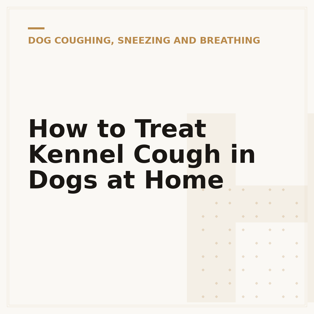 How to Treat Kennel Cough in Dogs at Home