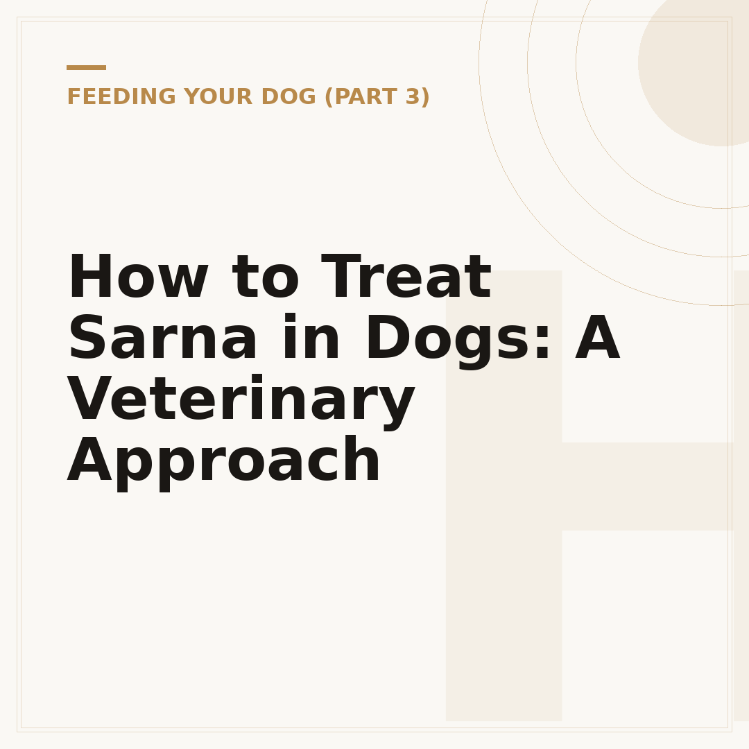 How to Treat Sarna in Dogs: A Veterinary Approach