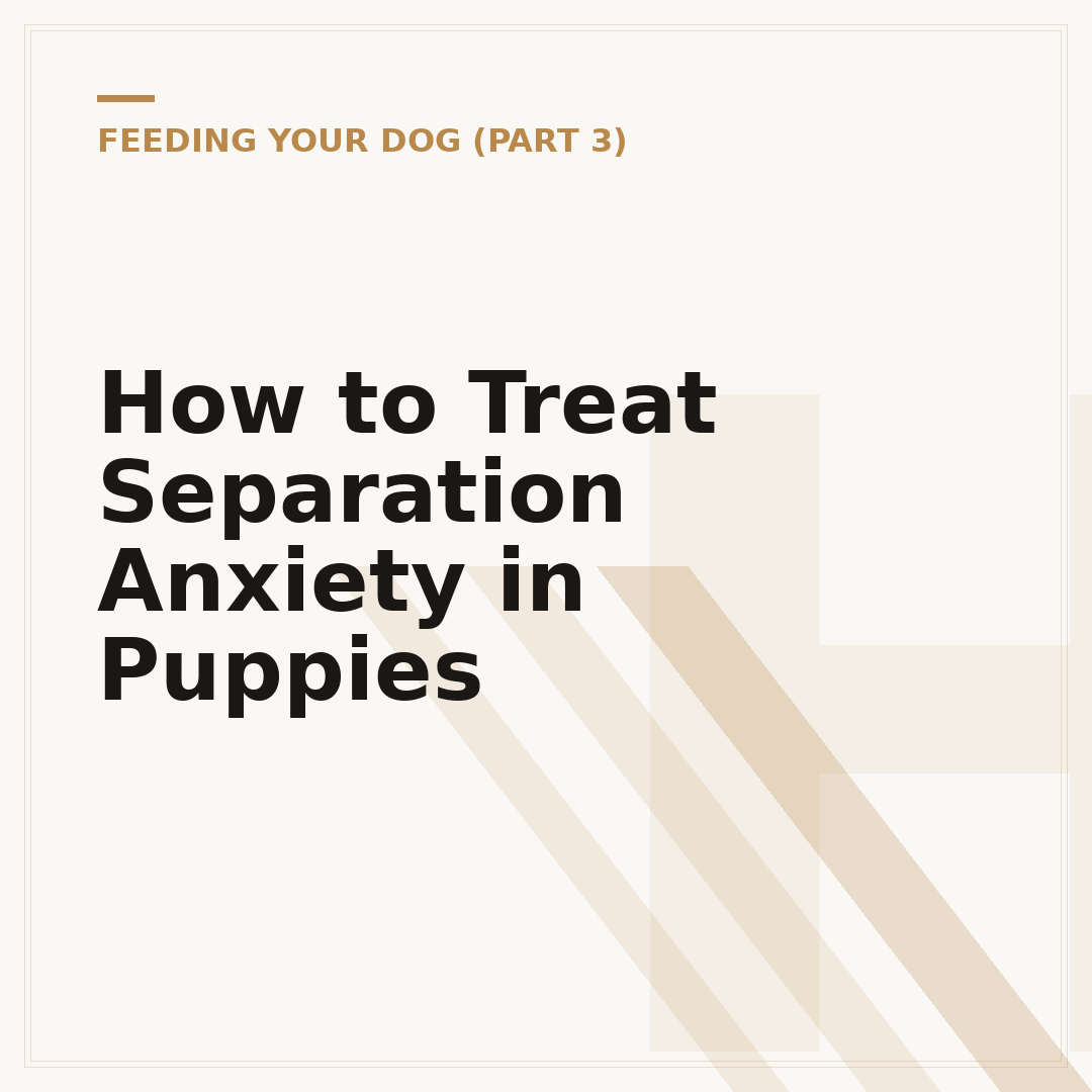 How to Treat Separation Anxiety in Puppies