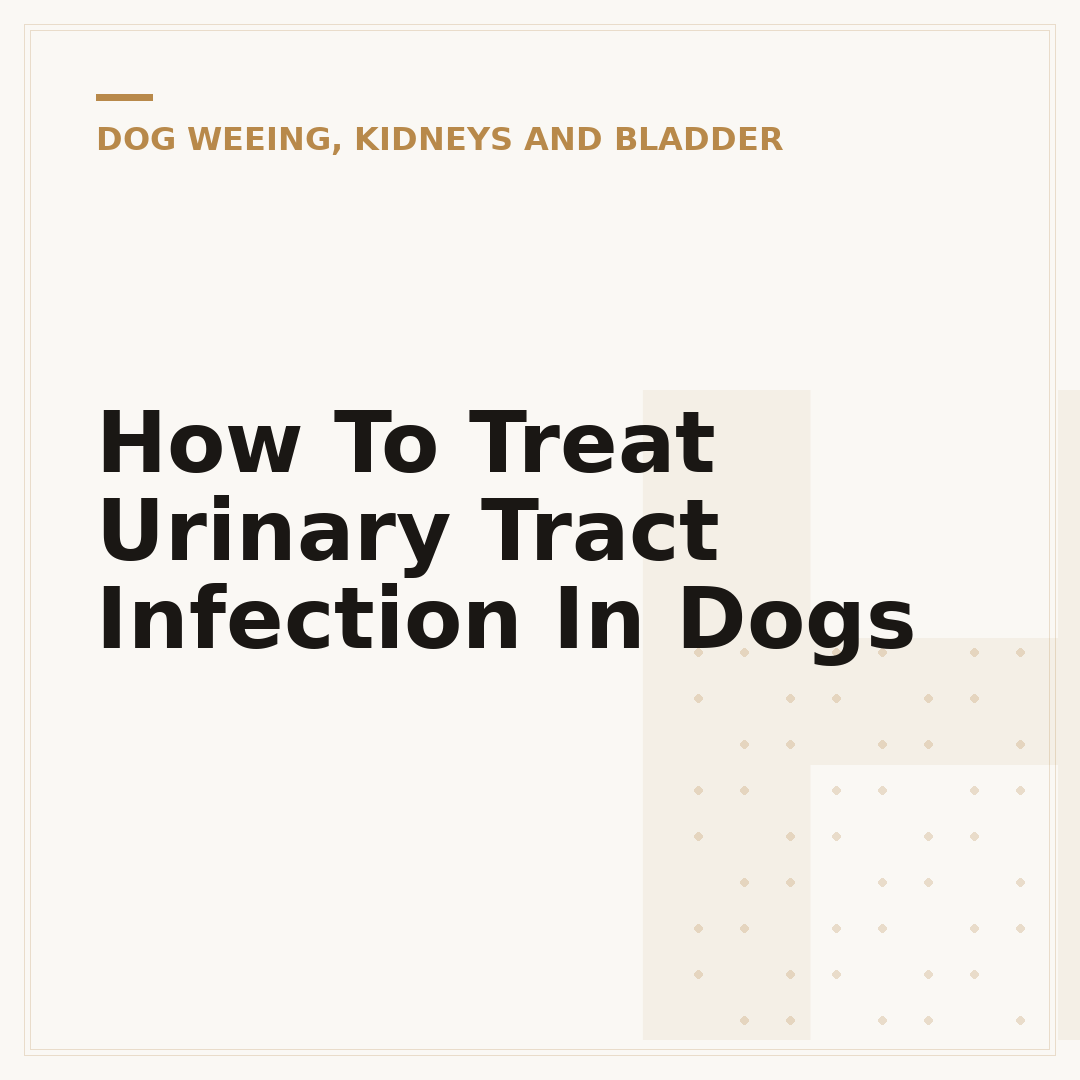 How To Treat Urinary Tract Infection In Dogs