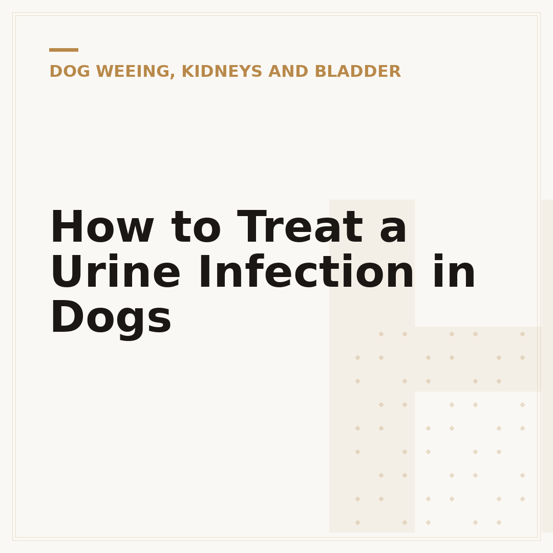 How to Treat a Urine Infection in Dogs