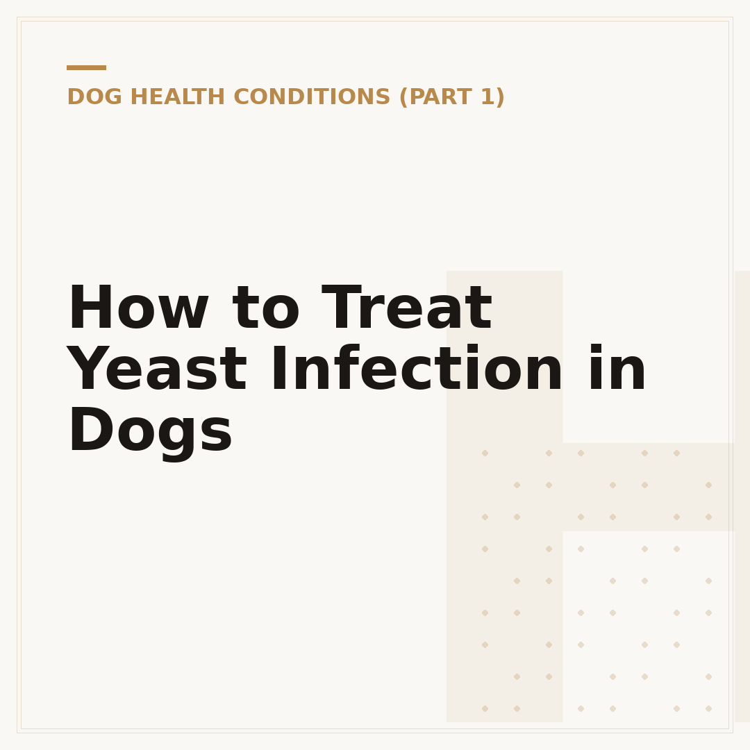 How to Treat Yeast Infection in Dogs