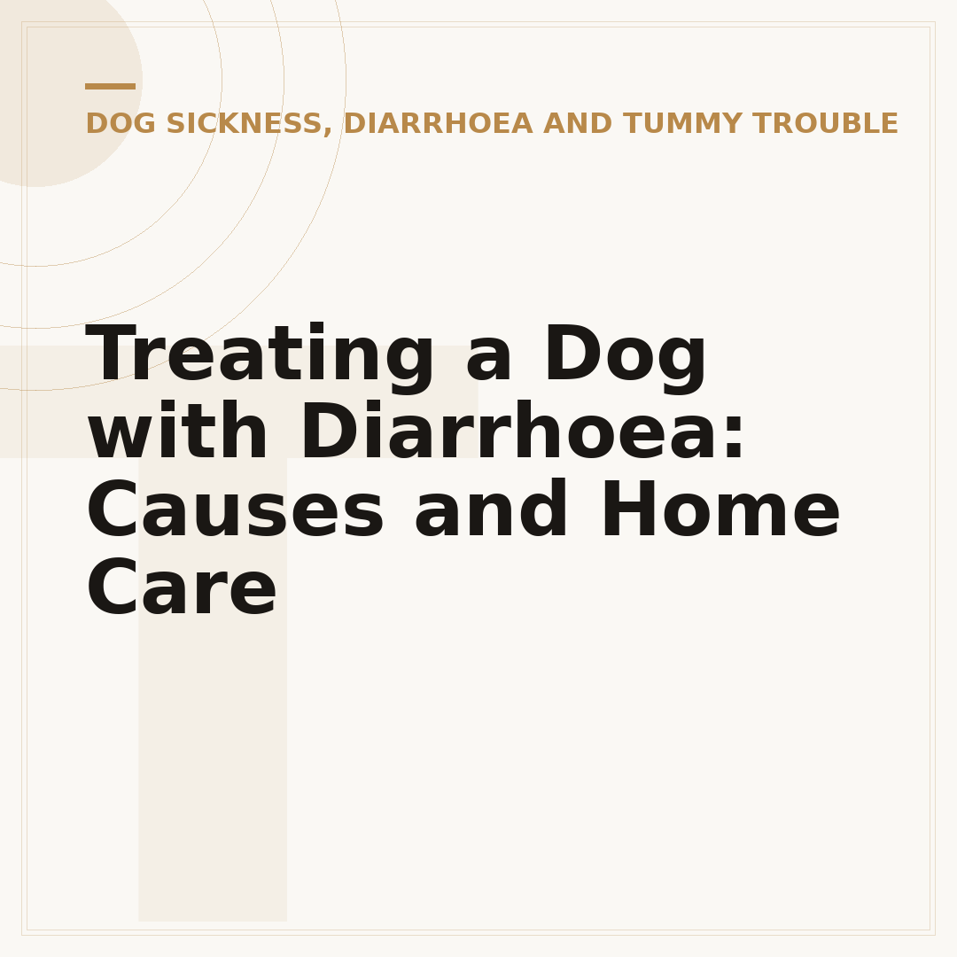 Treating a Dog with Diarrhoea: Causes and Home Care