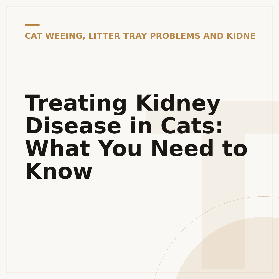 Treating Kidney Disease in Cats: What You Need to Know