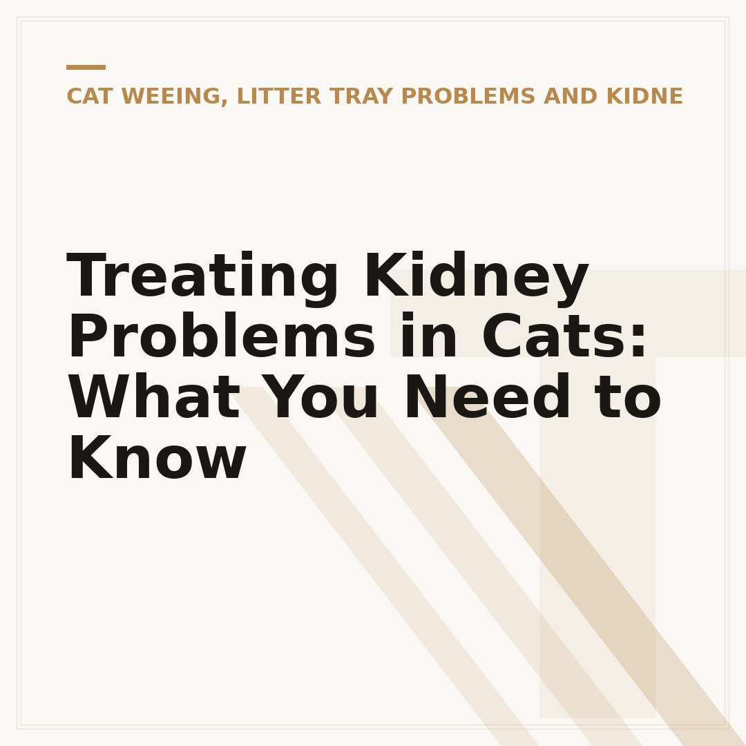 Treating Kidney Problems in Cats: What You Need to Know