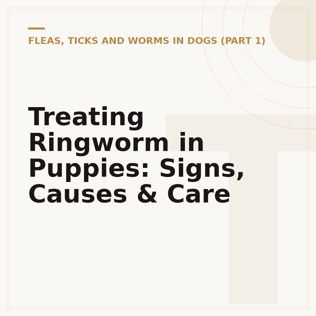 Treating Ringworm in Puppies: Signs, Causes & Care