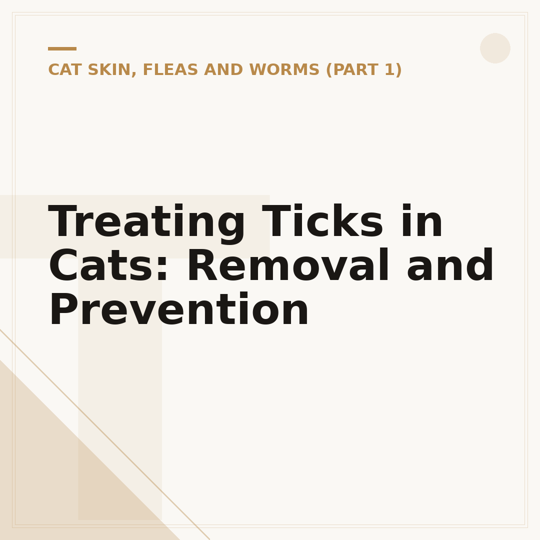Treating Ticks in Cats: Removal and Prevention