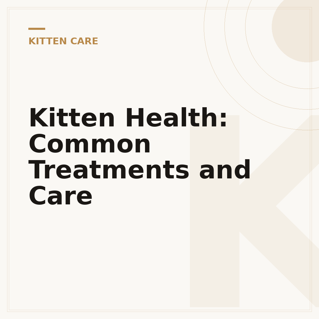 Kitten Health: Common Treatments and Care