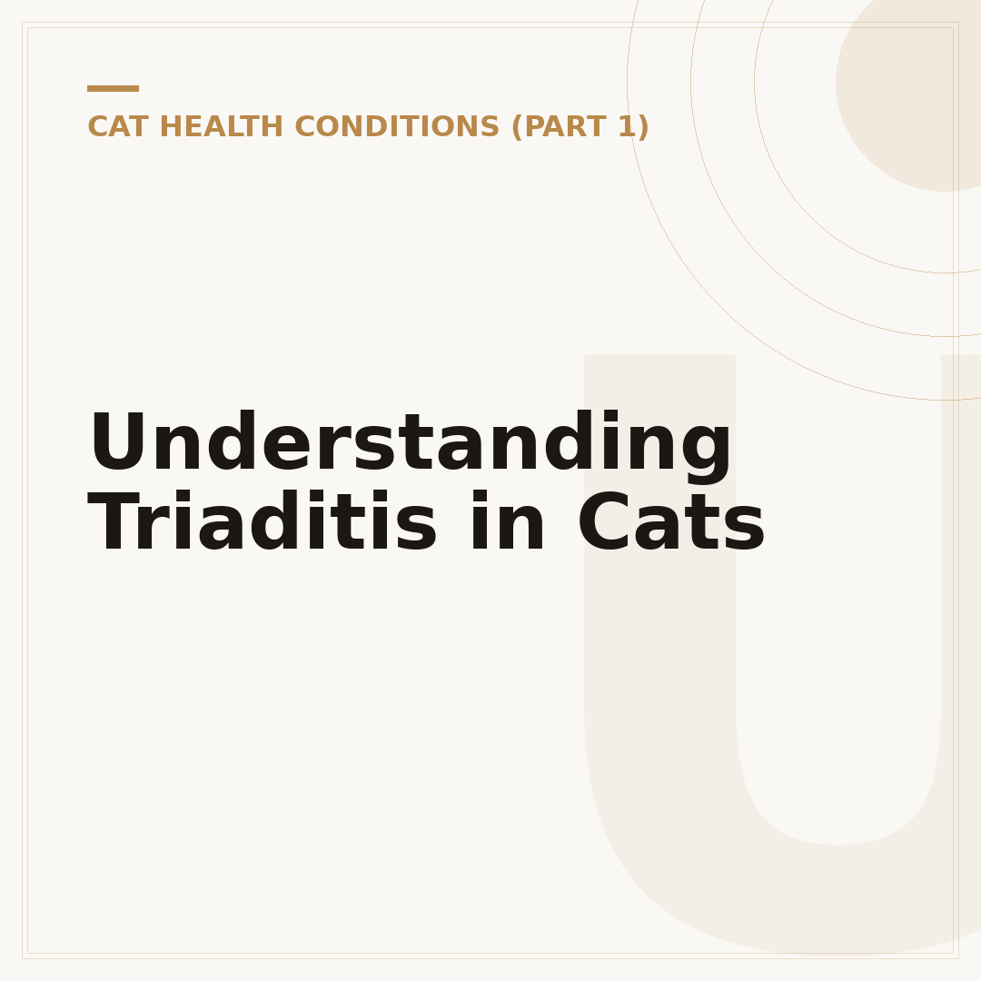 Understanding Triaditis in Cats