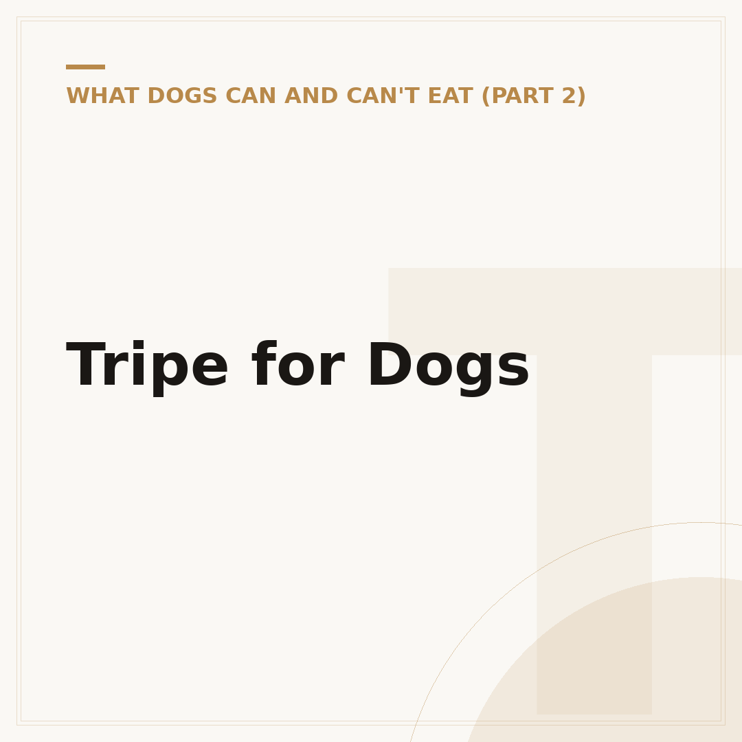 Tripe for Dogs