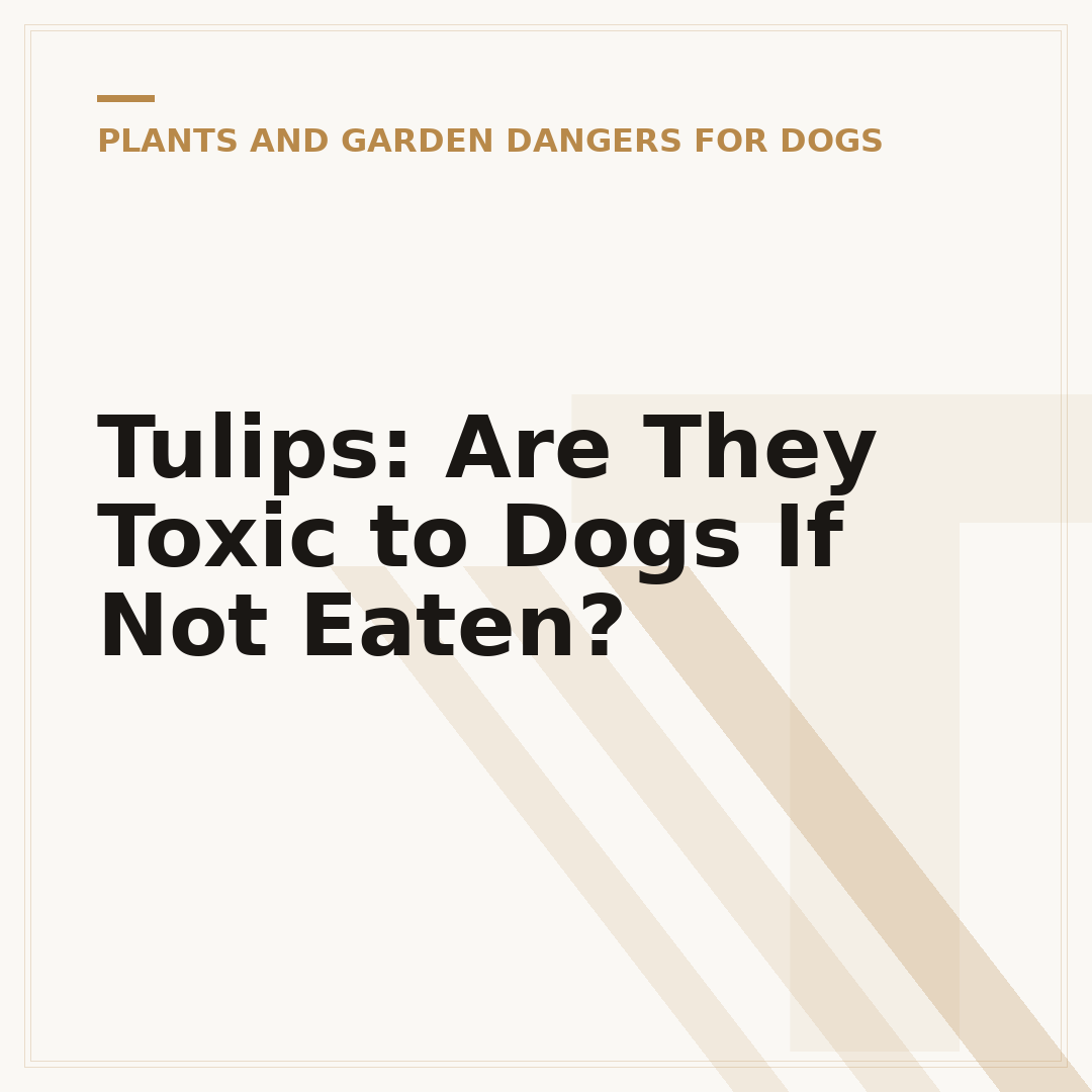 Tulips: Are They Toxic to Dogs If Not Eaten?