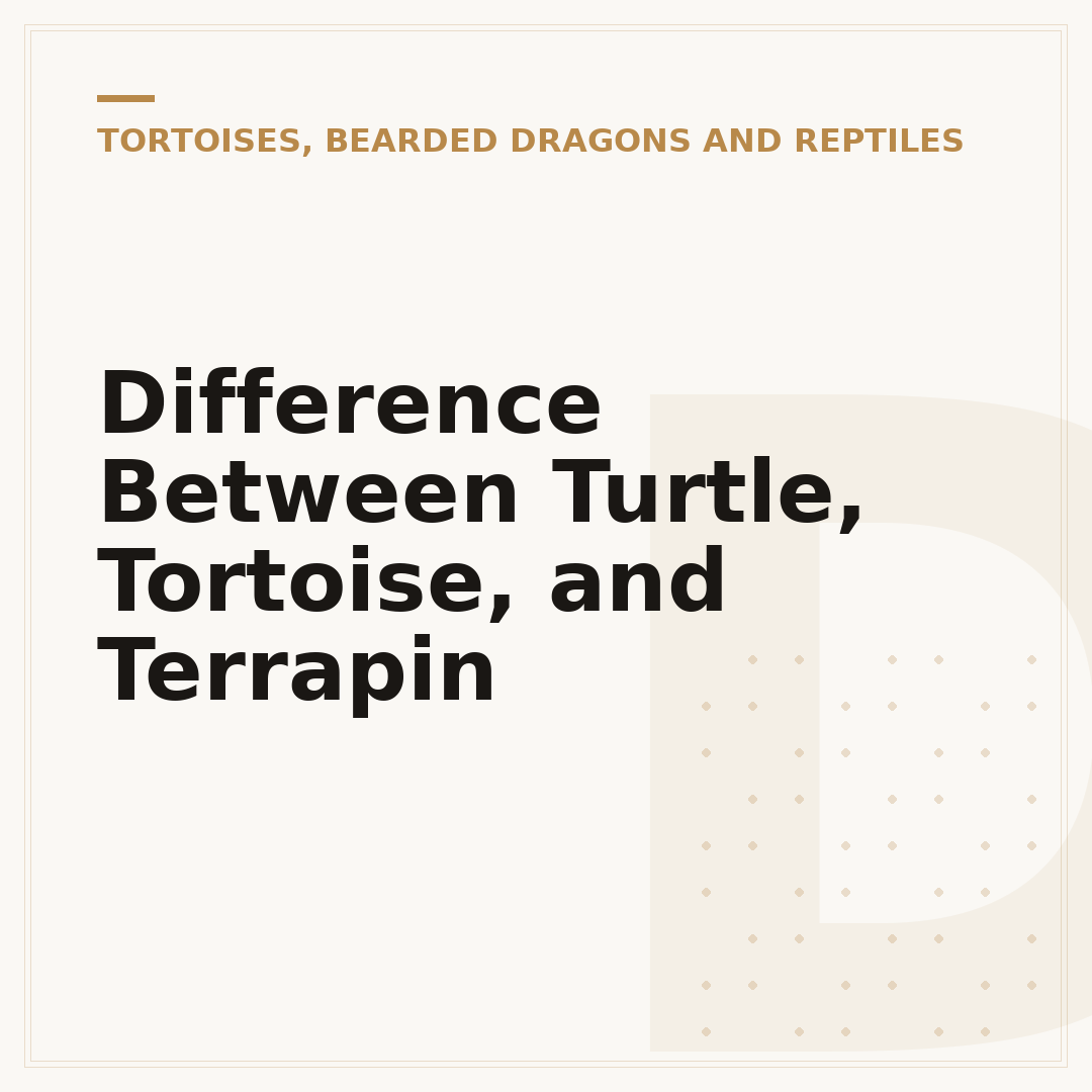Difference Between Turtle, Tortoise, and Terrapin