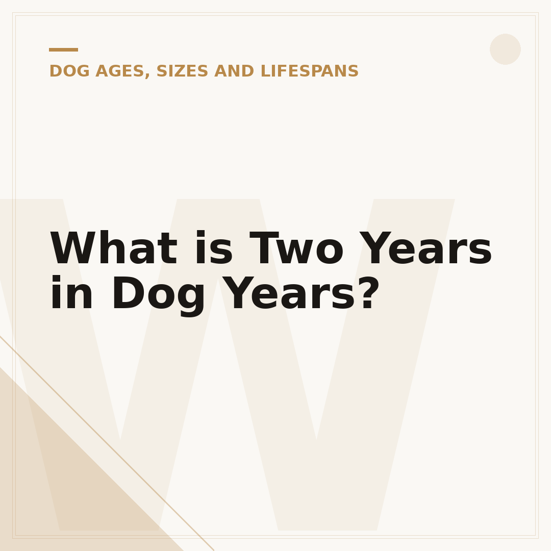 What is Two Years in Dog Years?