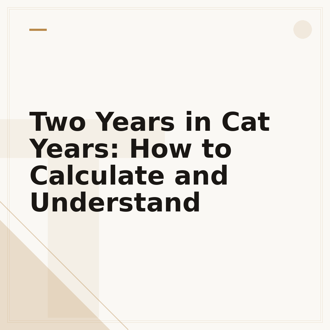 Two Years in Cat Years: How to Calculate and Understand