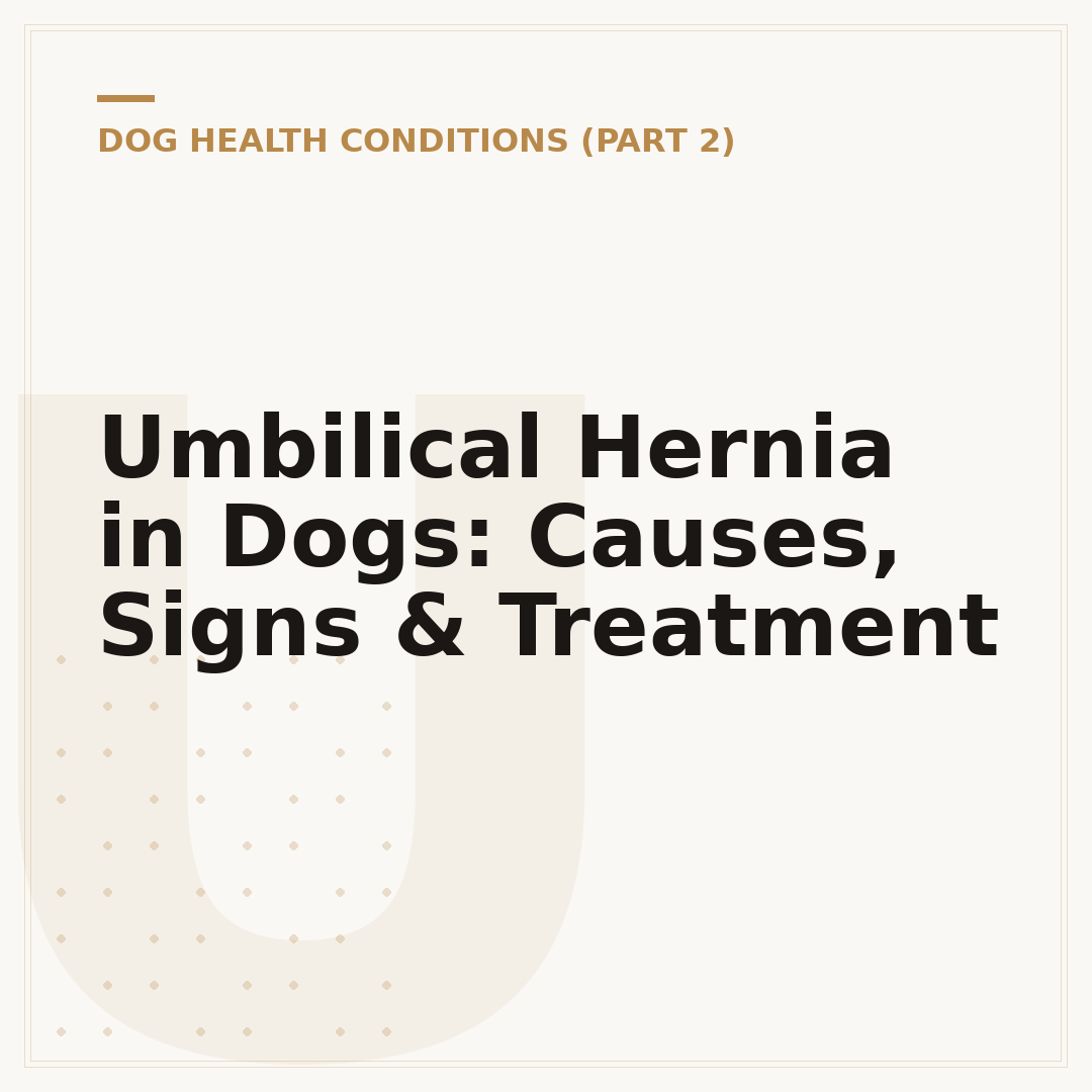 Umbilical Hernia in Dogs: Causes, Signs & Treatment