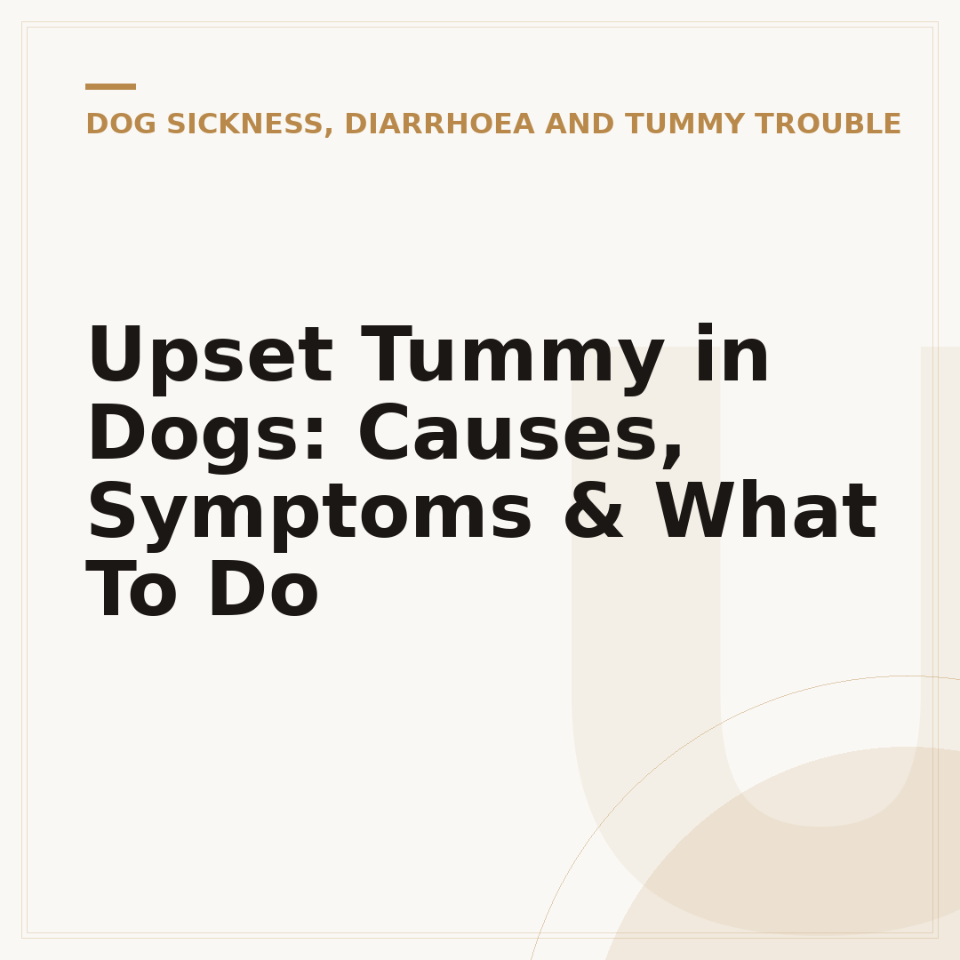 Upset Tummy in Dogs: Causes, Symptoms & What To Do