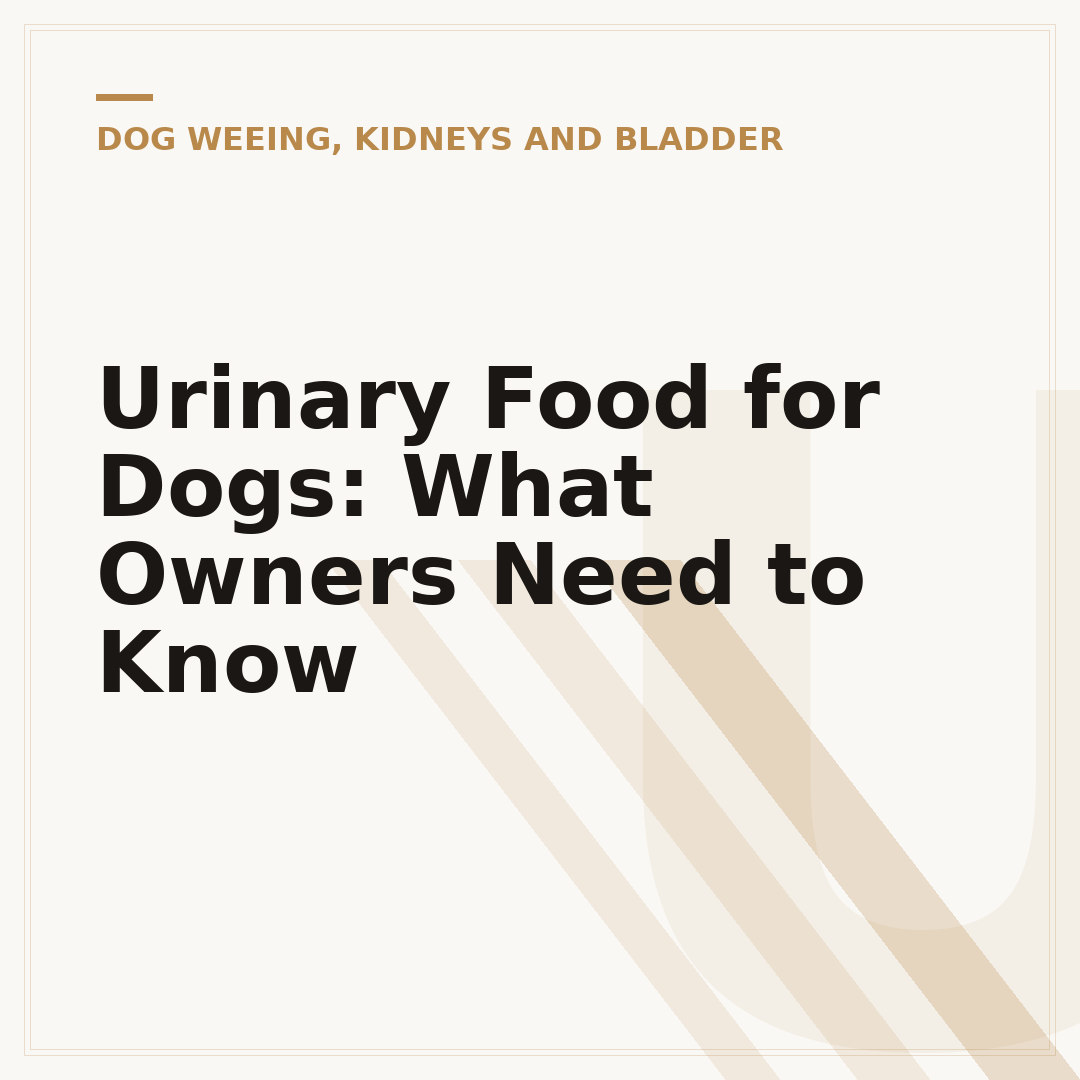 Urinary Food for Dogs: What Owners Need to Know