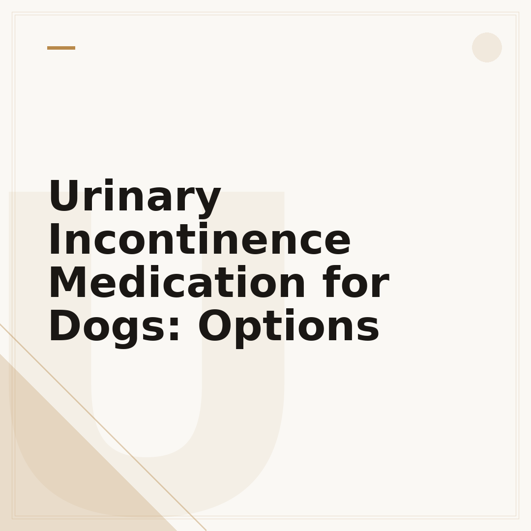 Urinary Incontinence Medication for Dogs: Options
