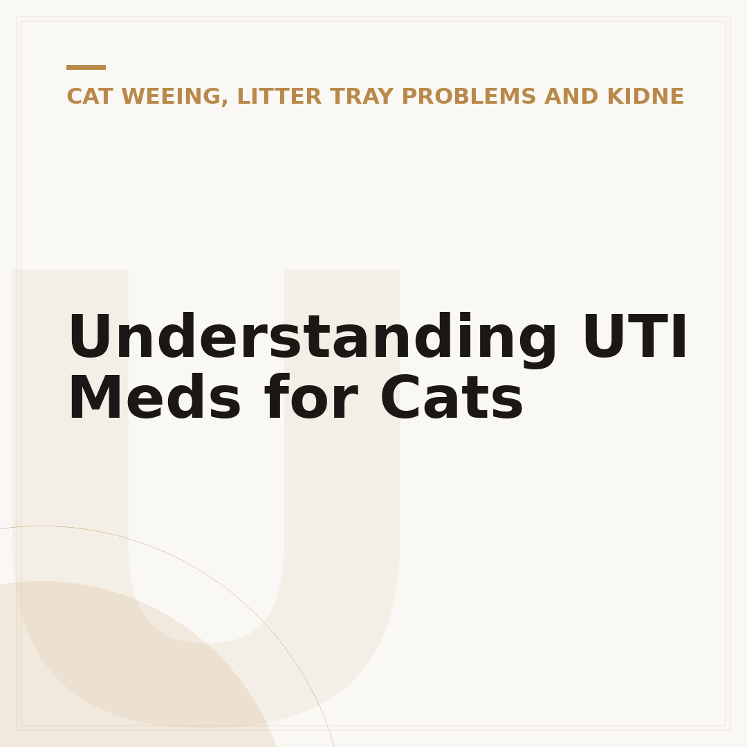 Understanding UTI Meds for Cats