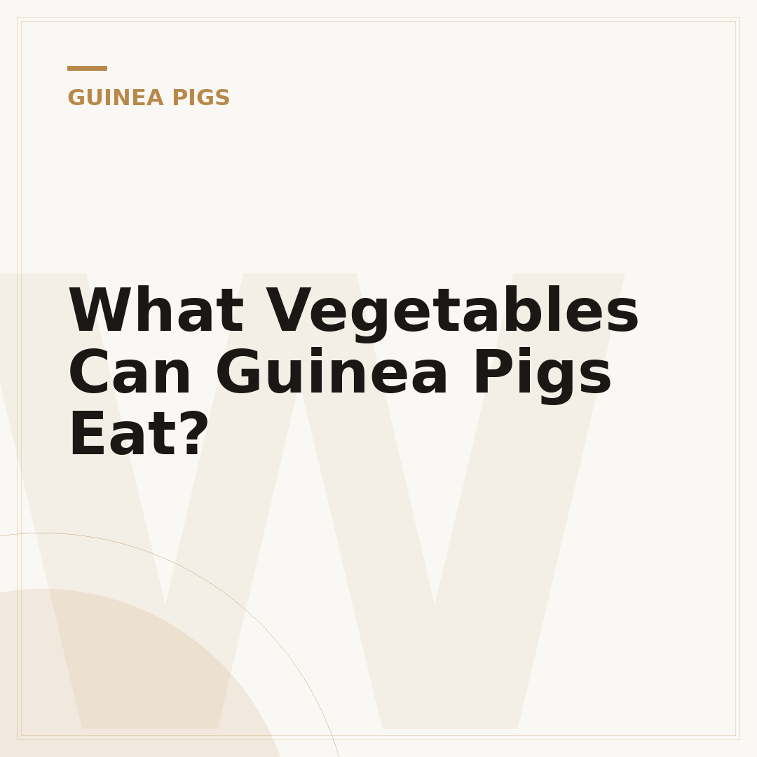 What Vegetables Can Guinea Pigs Eat?