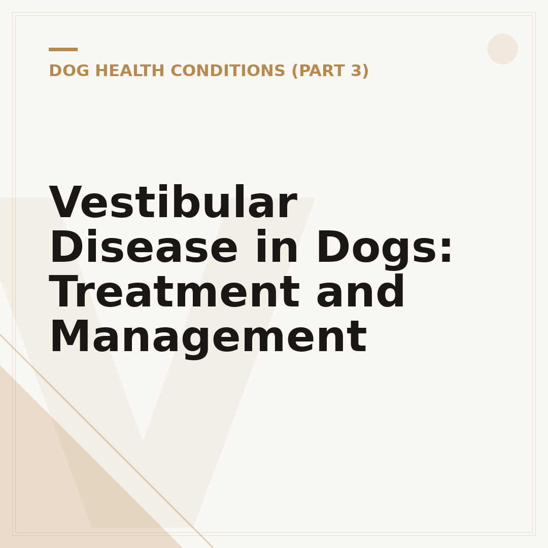 Vestibular Disease in Dogs: Treatment and Management