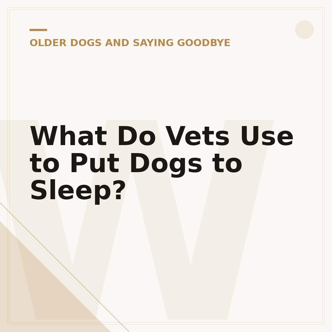 What Do Vets Use to Put Dogs to Sleep?