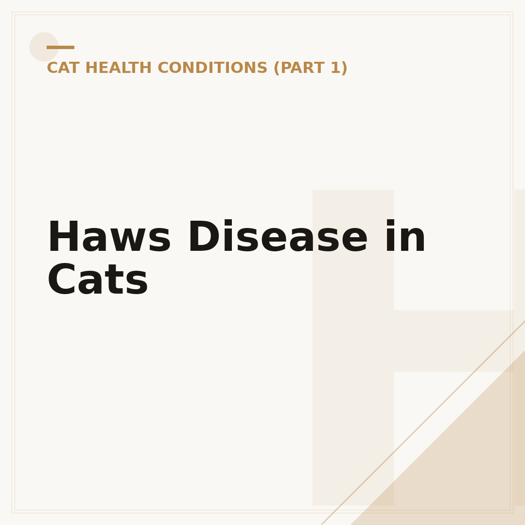 Haws Disease in Cats