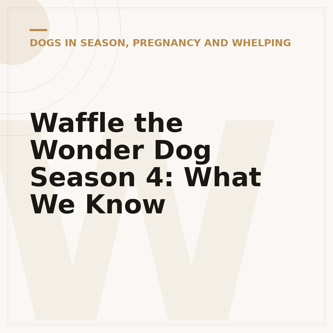 Waffle the Wonder Dog Season 4: What We Know