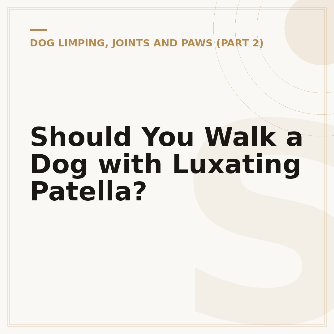 Should You Walk a Dog with Luxating Patella?