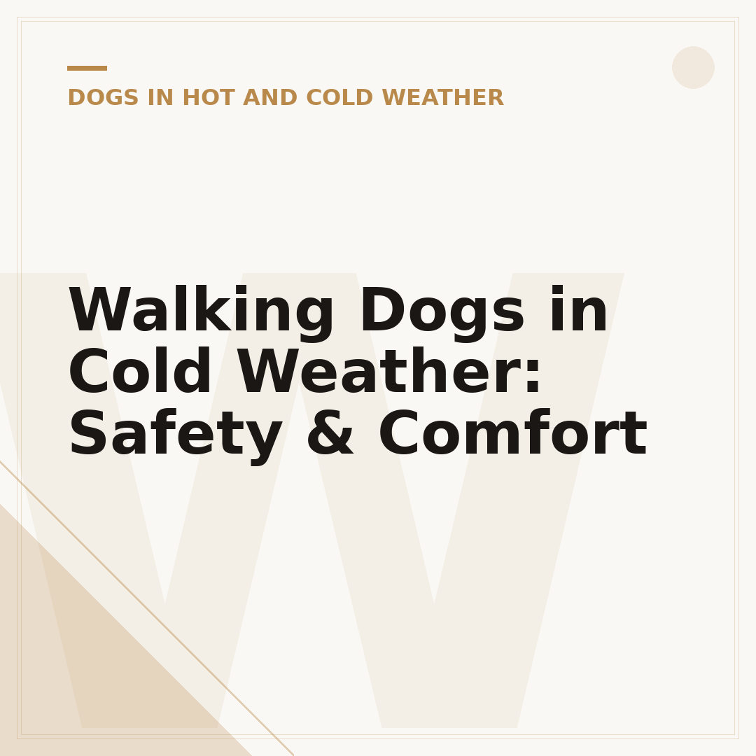 Walking Dogs in Cold Weather: Safety & Comfort