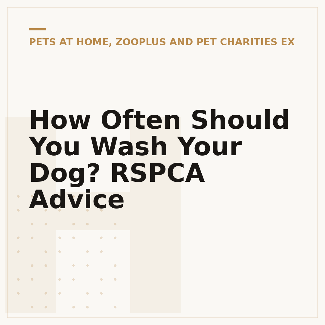 How Often Should You Wash Your Dog? RSPCA Advice