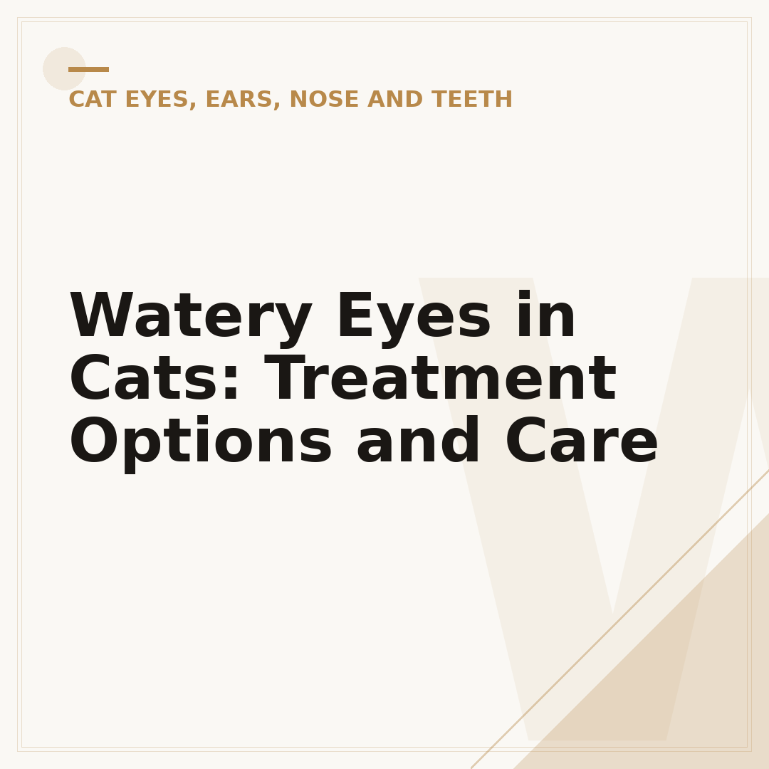 Watery Eyes in Cats: Treatment Options and Care