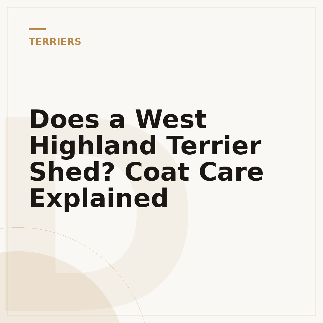 Does a West Highland Terrier Shed? Coat Care Explained