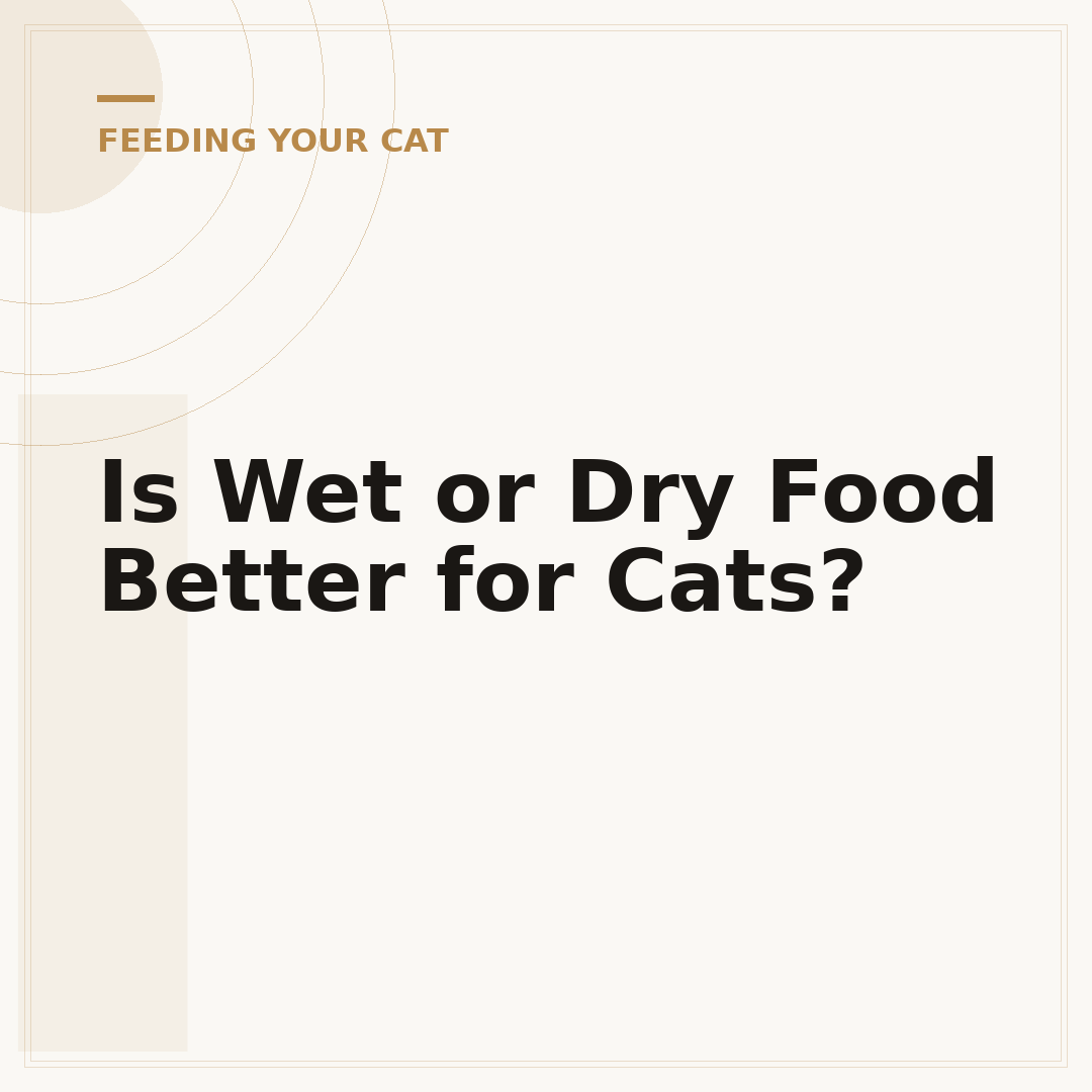 Is Wet or Dry Food Better for Cats?