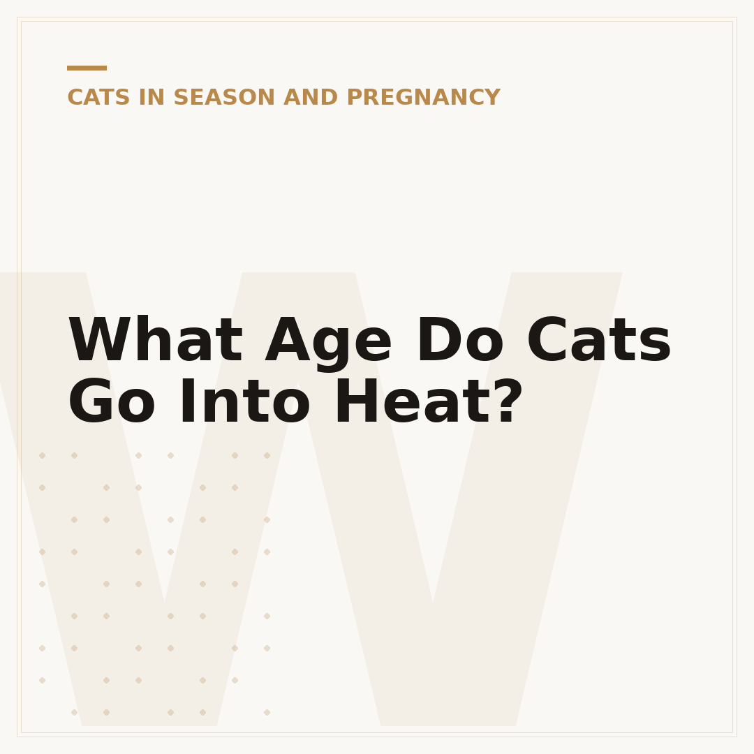 What Age Do Cats Go Into Heat?