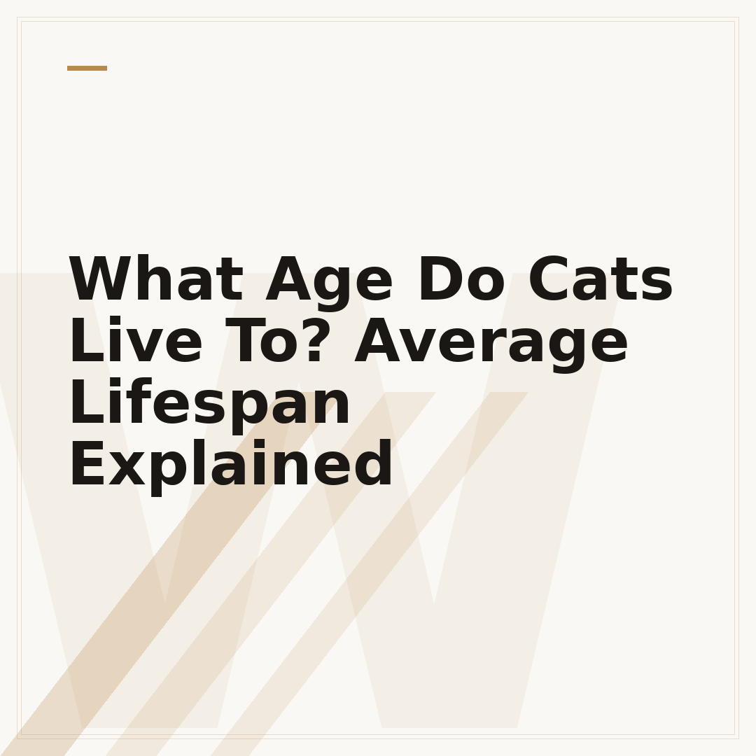 What Age Do Cats Live To? Average Lifespan Explained