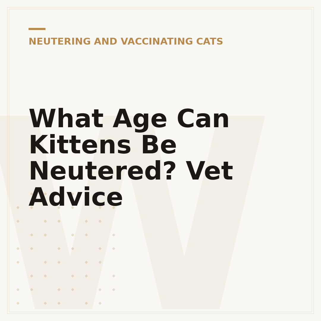 What Age Can Kittens Be Neutered? Vet Advice